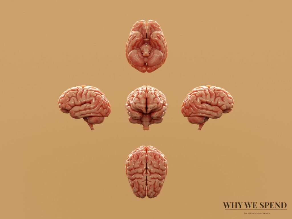 Online shopping dopamine loop and spending psychology